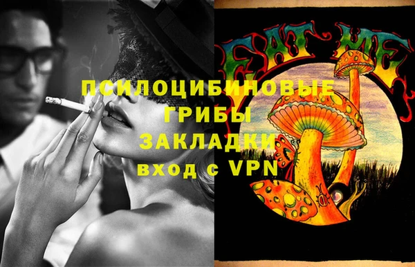 тгк Абдулино