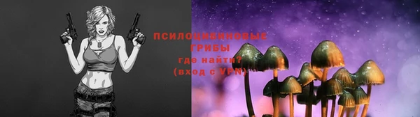 ПСИЛОЦИБИНОВЫЕ ГРИБЫ Сатка