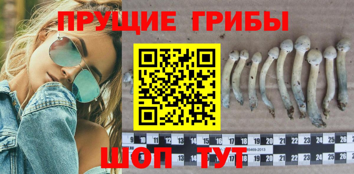 Галлюциногенные грибы ЛСД  Вход с VPN  как найти закладки  Ипатово 